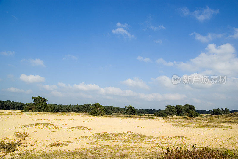 荷兰景观:沙丘(Wekeromse Zand)